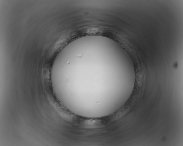 X0000116350375200912221507