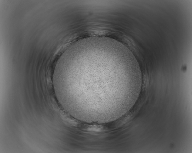 X0000116350377200912221507