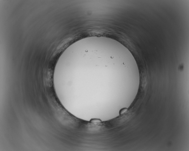 X0000116350378200912221507