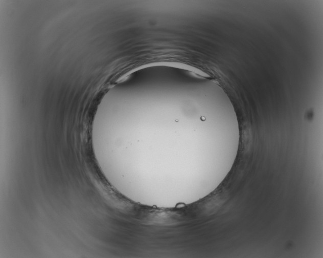 X0000116350379200912221507
