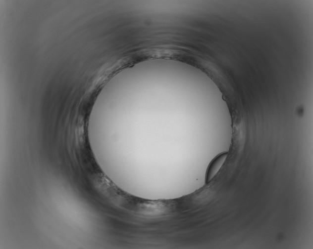 X0000116350381200912221507