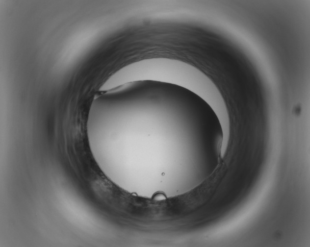 X0000116350382200912221507