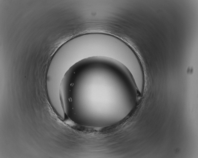 X0000116350385200912221506