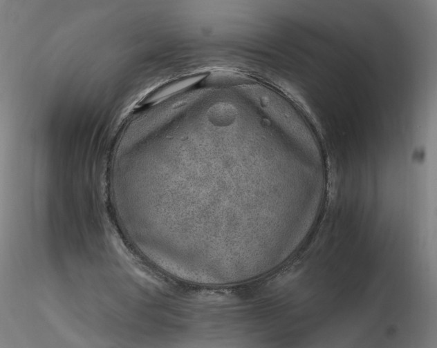 X0000116350386200912221506