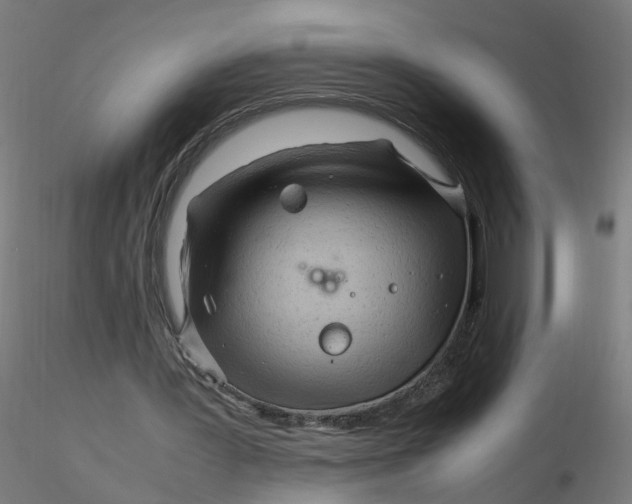 X0000116350387200912221506