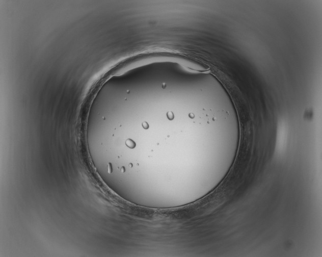 X0000116350388200912221506