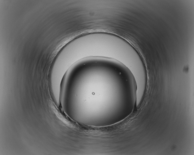 X0000116350389200912221506