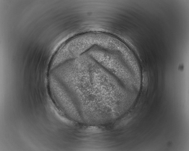 X0000116350390200912221506