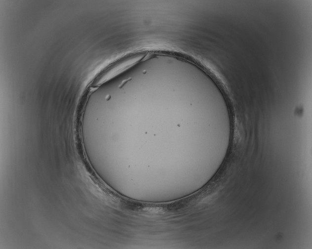 X0000116350391200912221506