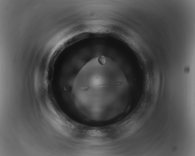 X0000116350392200912221506