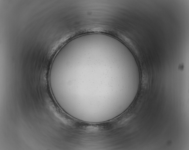 X0000116350394200912221506