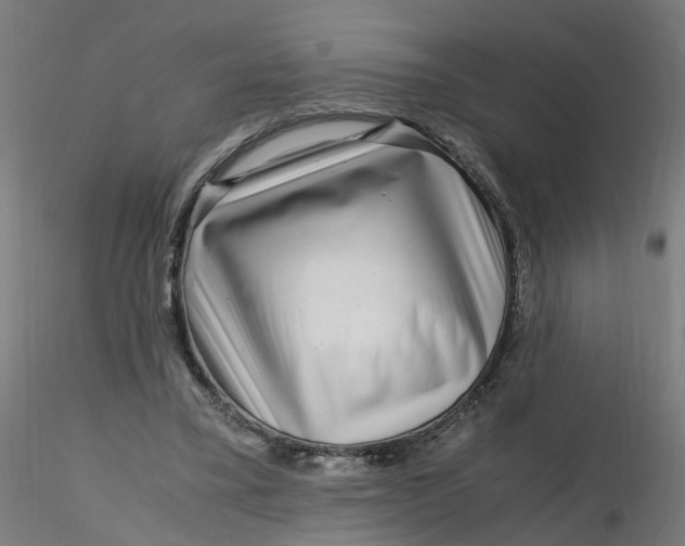 X0000116350395200912221506