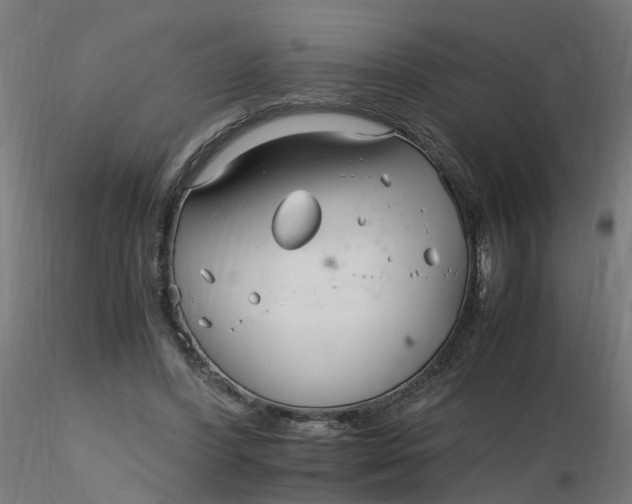 X0000116350396200912221506