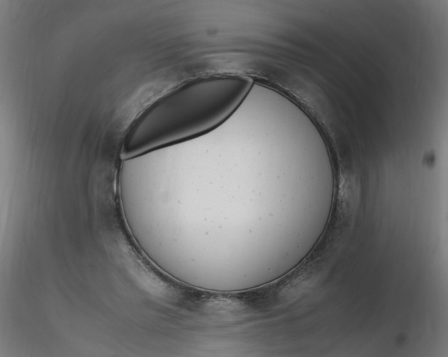 X0000116350397200912221506