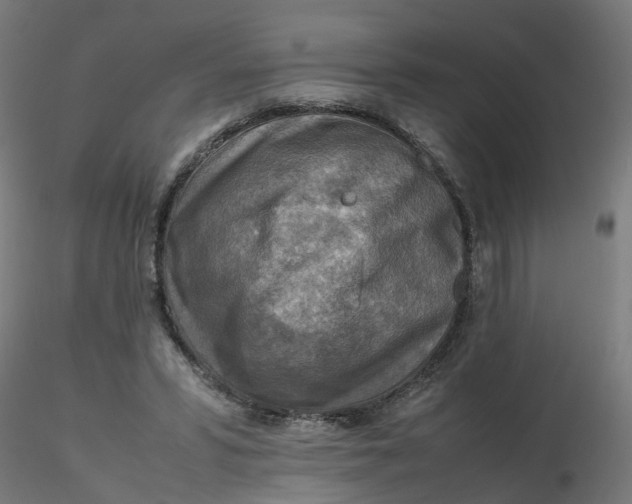 X0000116350399200912221506