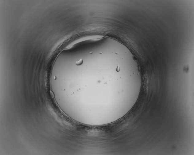 X0000116350400200912221506