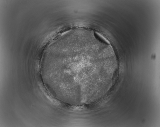 X0000116350401200912221506