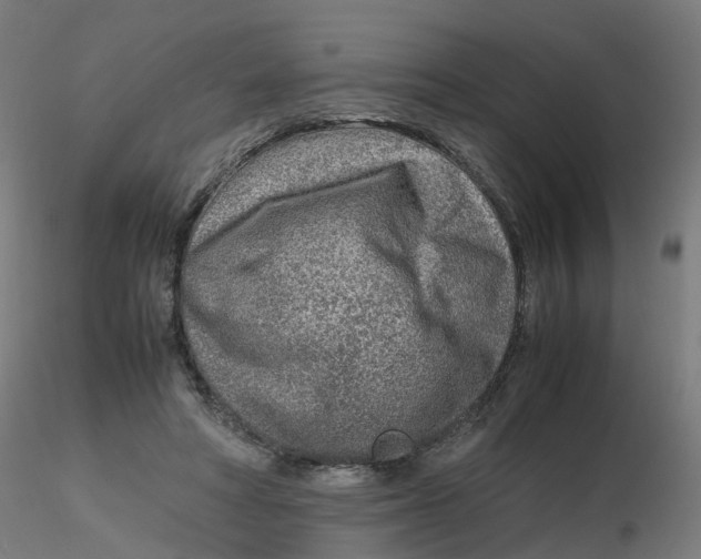 X0000116350402200912221506