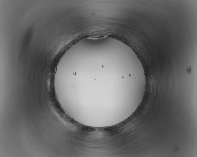 X0000116350404200912221506