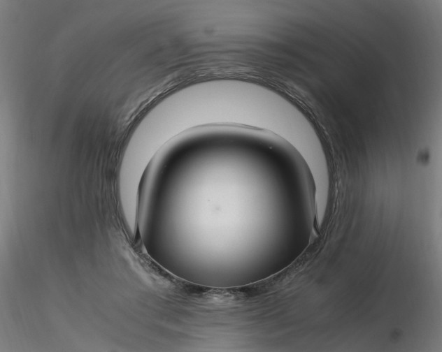 X0000116350405200912221506