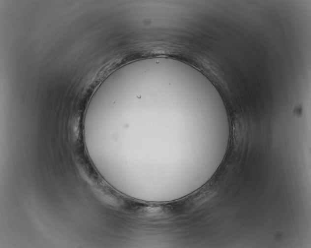 X0000116350406200912221506