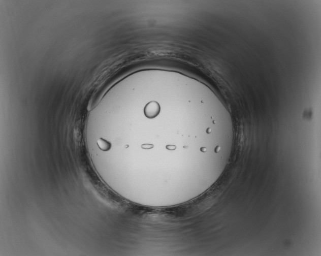 X0000116350408200912221506