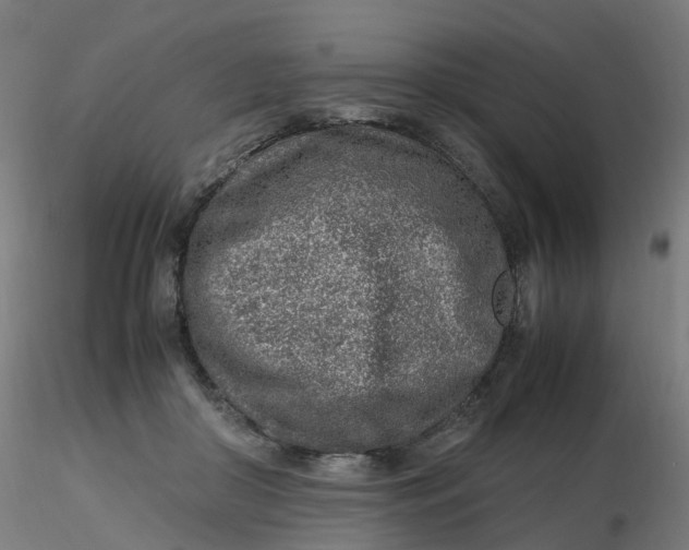 X0000116350410200912221506