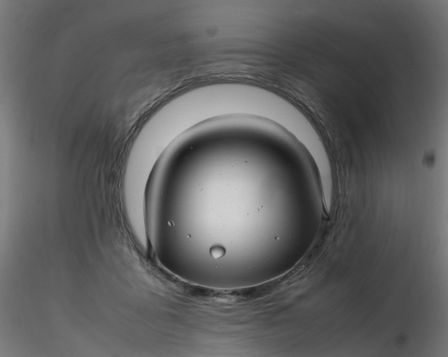 X0000116350411200912221506