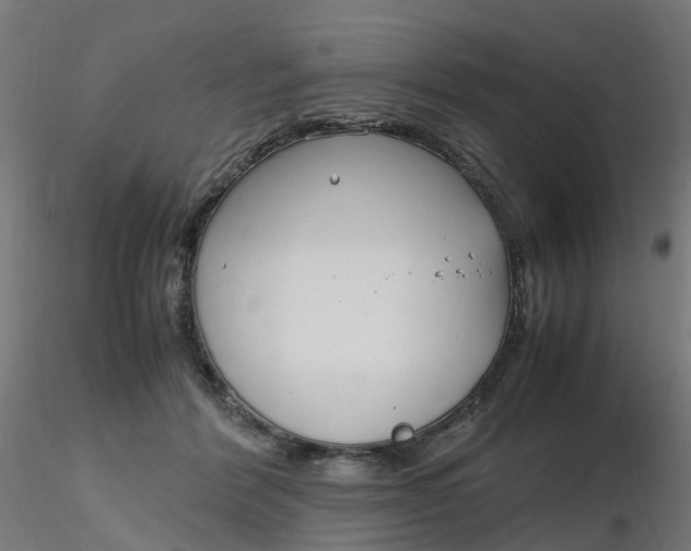 X0000116350412200912221506