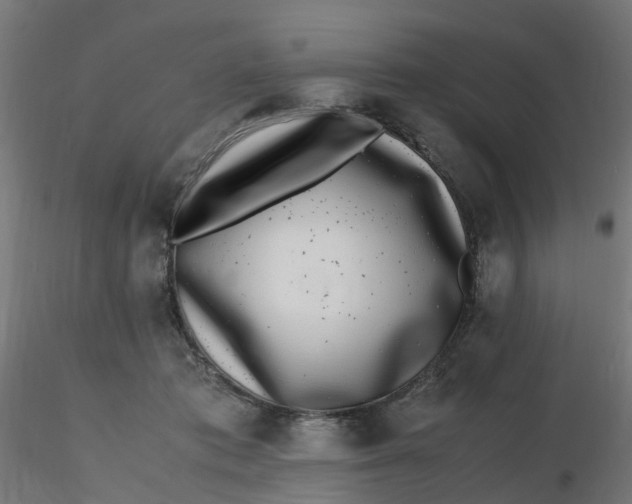 X0000116350413200912221506