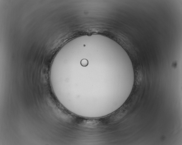 X0000116350414200912221506