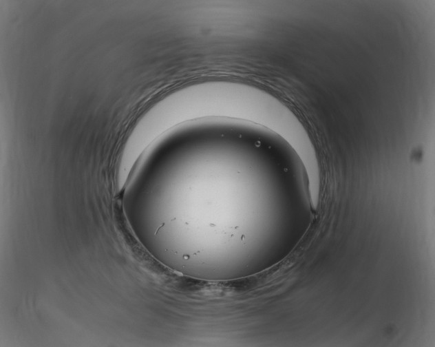 X0000116350415200912221506