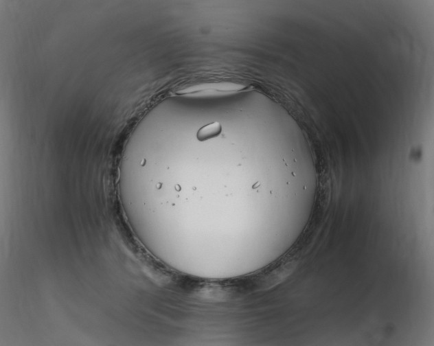 X0000116350416200912221506