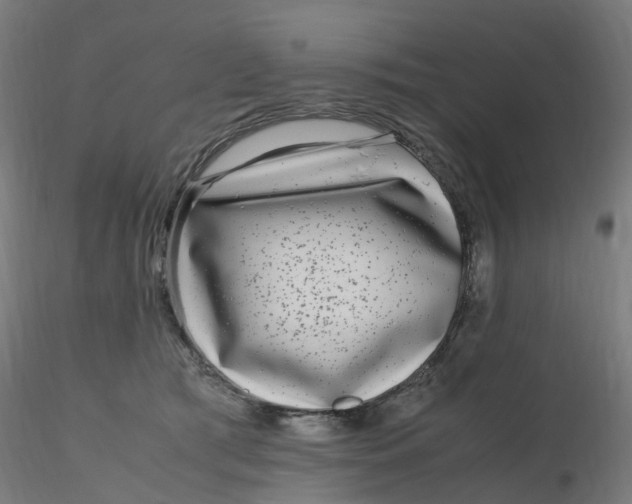 X0000116350417200912221506