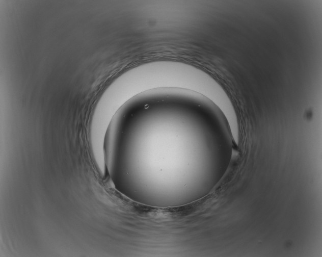 X0000116350419200912221506