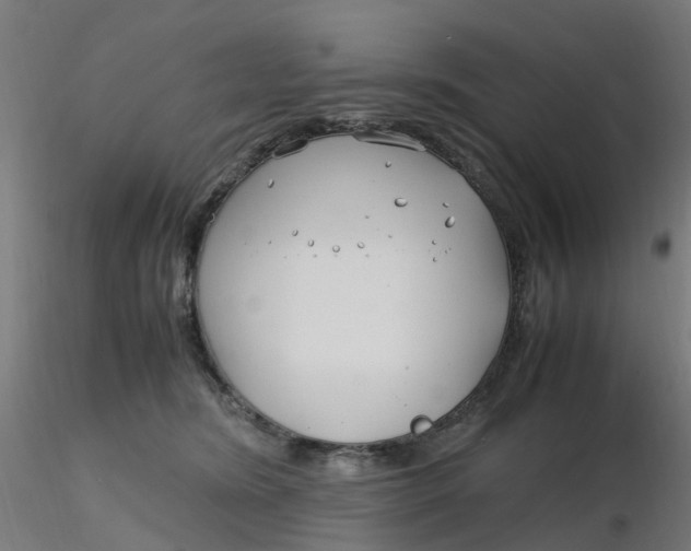 X0000116350420200912221506