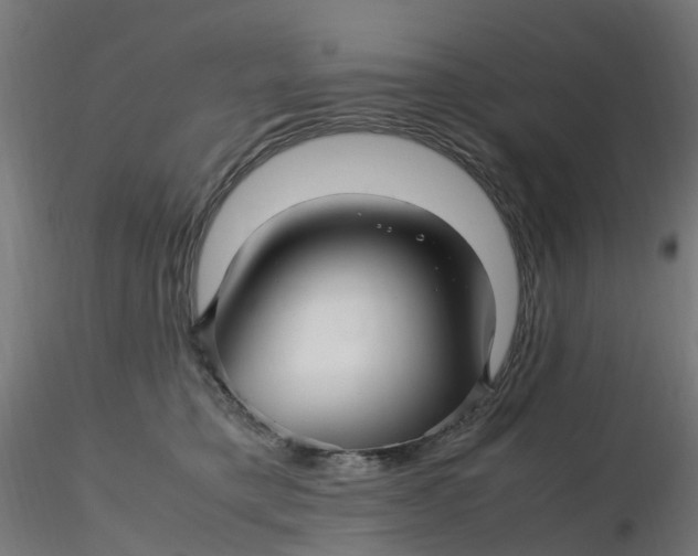 X0000116350421200912221506