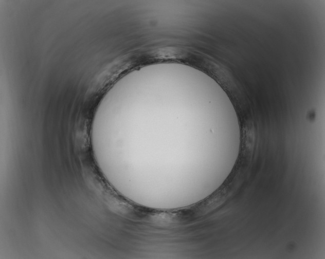 X0000116350422200912221506