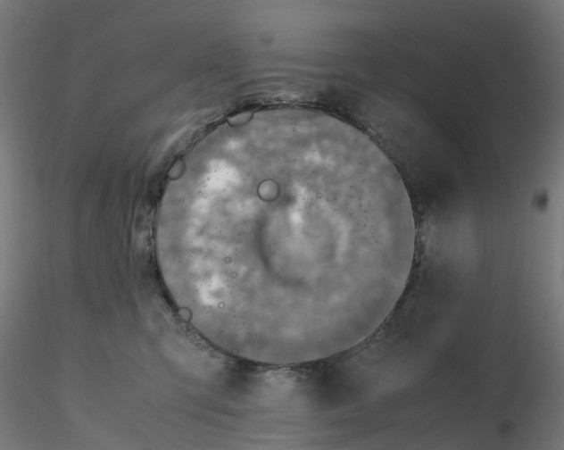 X0000116350423200912221506