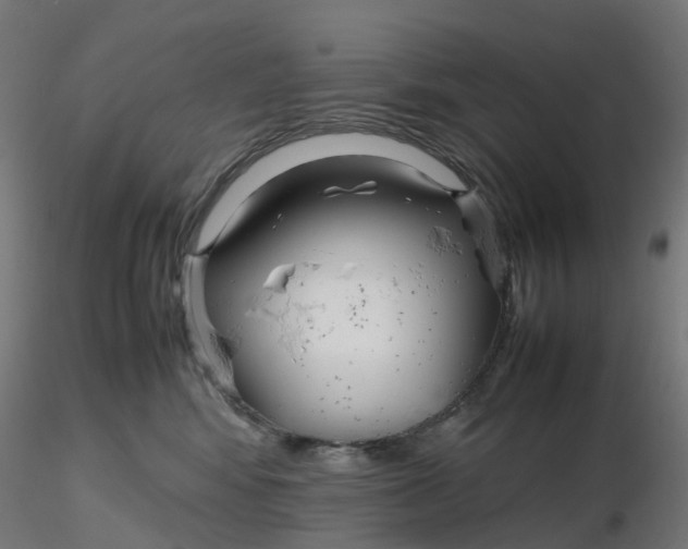 X0000116350424200912221506