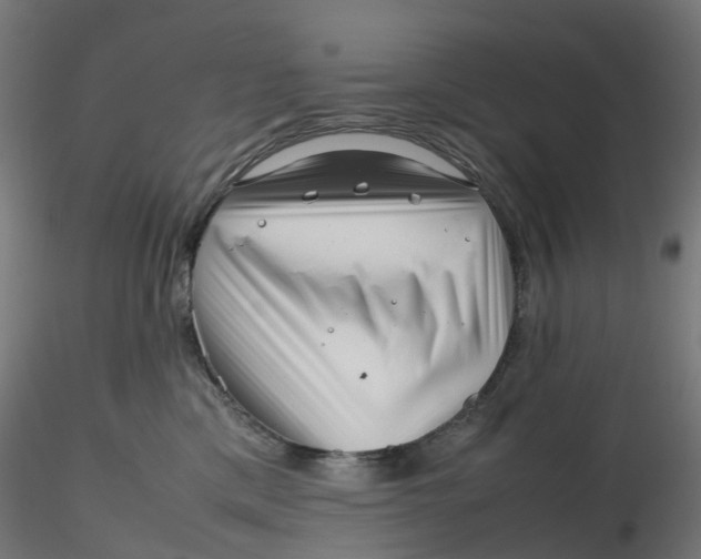 X0000116350425200912221506