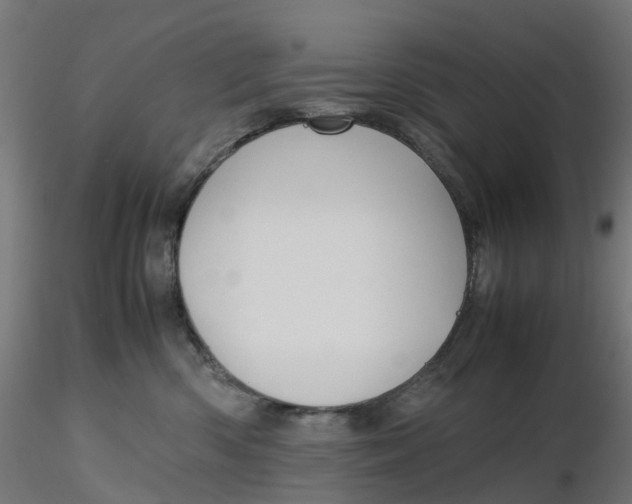 X0000116350426200912221506