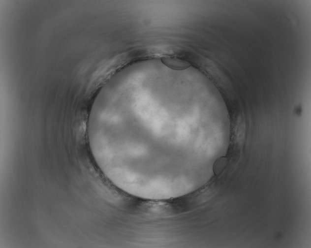 X0000116350427200912221506