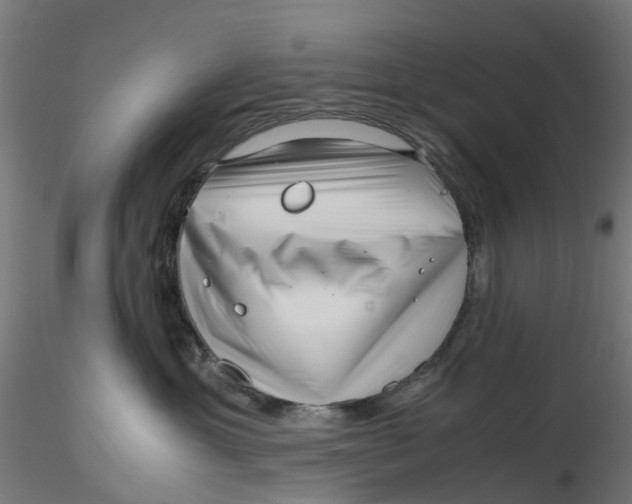 X0000116350429200912221506