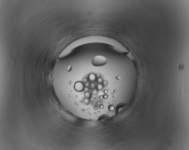 X0000116350432200912221506