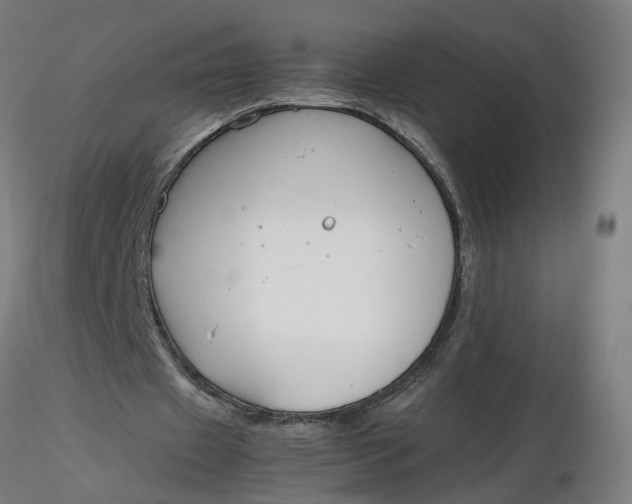 X0000116350433200912221505