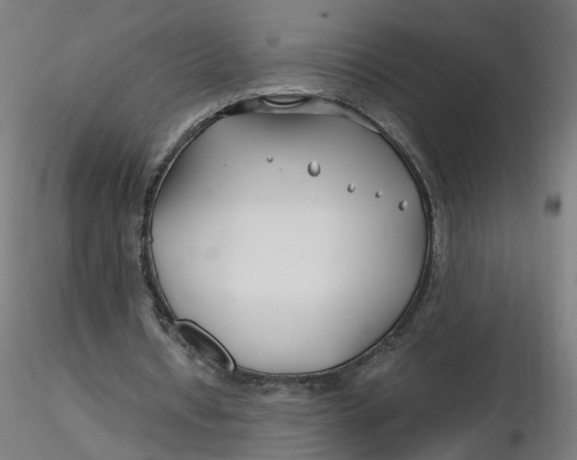 X0000116350434200912221505