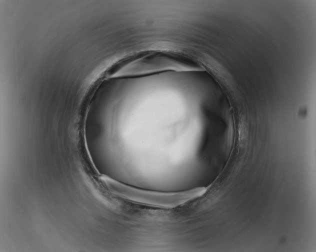 X0000116350436200912221505