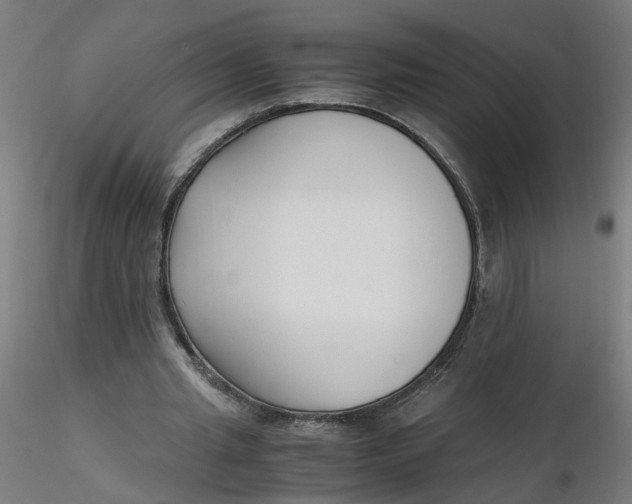 X0000116350437200912221505