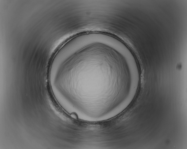 X0000116350438200912221505